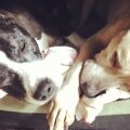 災害のその時、あな…