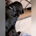 急に立てなくなった…