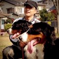 愛犬の怖がりを治す…