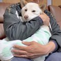 犬が散歩で濡れたの…