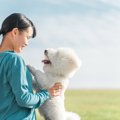 犬が『久しぶりに会…