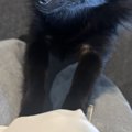 生まれて初めて『セ…