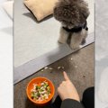 「ボクがこぼしたん…