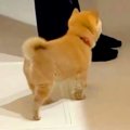 台所で料理をしてい…