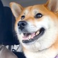 車に乗り、ウキウキ…