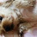 劣悪環境から来た成…