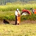 犬を飼うのに反対し…