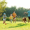 犬を愛する人が多い…