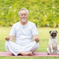 犬を飼っていると『…