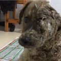 子供たちの悪ふざけ…