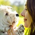 犬とココロを通じ合…