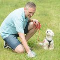 犬のウンチで体調を…