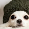 冬にしてはいけない…