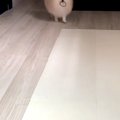 髪ゴムを無くしてし…