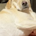 午前5時30分→寝てい…