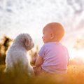 子どもの名付けと人…