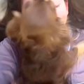 夜、暑いからと飼い…