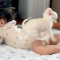 赤ちゃんがいる家に…