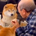 おやつを食べるおじ…