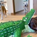 犬は『家族がワニに…