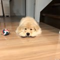 かまちょアピールが…