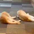 呼びかけに反応がな…
