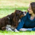 あなたと愛犬の関係…
