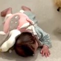 赤ちゃんが一生懸命…