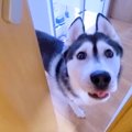『急いで来てくださ…