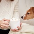 【獣医師監修】犬は…
