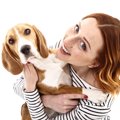 犬の『抱っこされた…