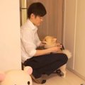 犬とアラサー独身男…