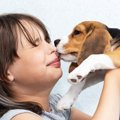 犬が好きな人にだけ…