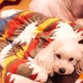 気持ちいい♪しまむら…