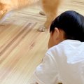 『男の子のおもちゃ…