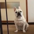 お父さんに会えない…