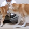 雷がこわい！避難の…