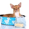 犬用バスタブおすす…