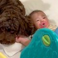 赤ちゃんが『生まれ…