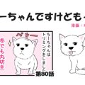   ちーちゃんですけ…