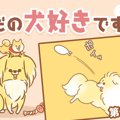 ただの犬好きです。…