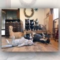 究極の３密！動物で…