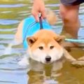 生まれて初めて川に…