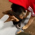 ヌッシのスリッパは…
