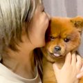 赤ちゃん犬の『甘噛…