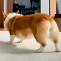 お部屋の中で『おな…