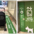 愛犬と一緒に楽しめ…