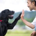 愛犬は飼い主の顔を…