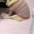 夜『寝るよー』と電…