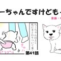 ちーちゃんですけど…